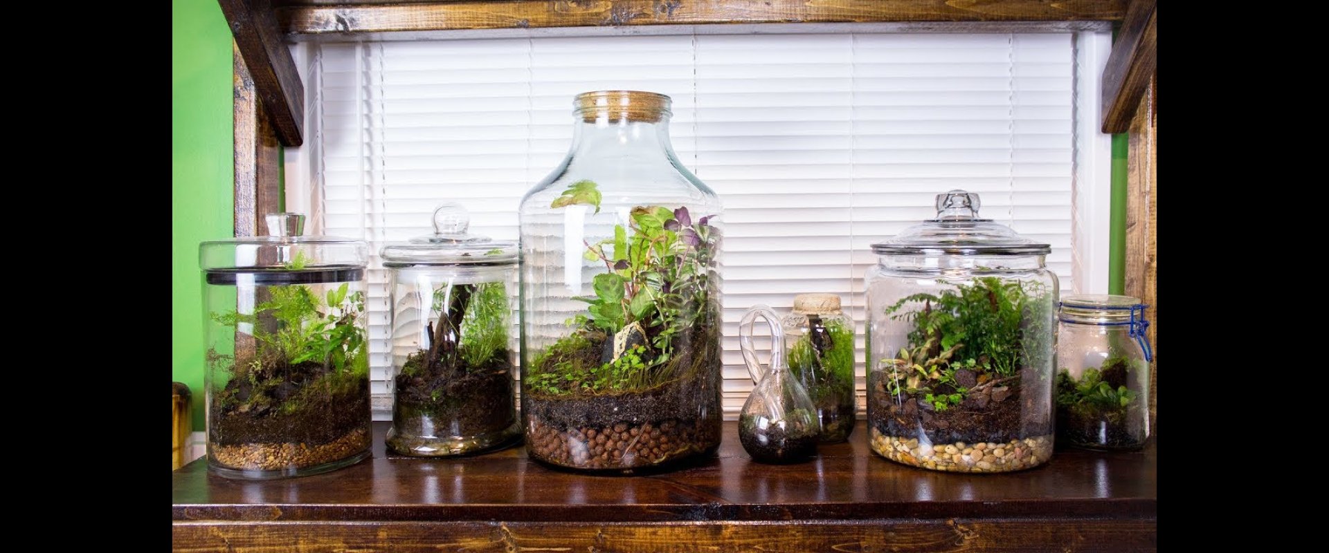 「蒸健康會館」